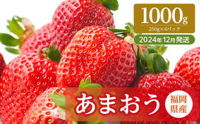 いちご 福岡県産 あまおう 1000g (250g×4パック) 先行予約 2024年12月より順次発送 果物 デザート ※配送不可：離島