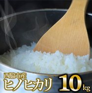 【ヒノヒカリ】令和６年産白米10kg（10kg×1袋）(19-43)