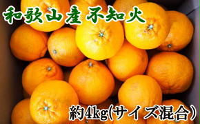 和歌山県産不知火約4kg（サイズ混合）※2025年2月下旬～3月上旬頃に順次発送予定