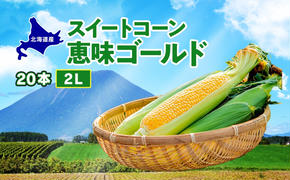  北海道産 スイート コーン めぐみゴールド 2Lサイズ 20本  先行受付 8月上旬～末頃のお届け とうもろこし 恵味 めぐみ トウモロコシ 旬 完熟 朝もぎ 野菜 産地直送 お取り寄せ 北海道 丸田農園 送料無料 洞爺湖