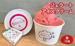 ジェラート いちご 12個 アイス アイスクリーム スイーツ お菓子 菓子 おやつ ストロベリー イチゴ 苺 兵庫県 加西市 
