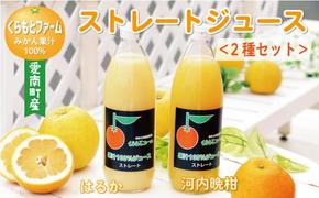 みかん 果汁 100% ストレート ジュース 2本 セット （ 1000ml × 2本 ） はるか 河内晩柑 愛南ゴールド 7000円 数量限定 期間限定 高級 贈答 ギフト プレゼント 母の日 敬老の日 父の日 おやつ 国産 フルーツ 果物 柑橘 産地直送 農家直送 特産品 完熟 濃厚 人気 限定 甘い こどもの日 ジューシー 新鮮 果実 さわやか 愛媛県 愛南町  くらもとファーム