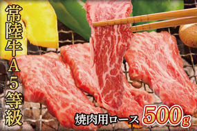 常陸牛A5等級　焼肉用500g（ロース）（AC008）