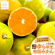 【先行予約】【秋の美味】【農家直送】ゆら早生有田みかん（ご家庭用）約10kg ふるさと納税 みかん ※2025年10月上旬～10月下旬頃に順次発送予定 ※沖縄・離島への配送不可