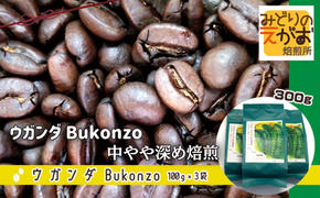 50度お湯洗い焙煎豆 ウガンダ Bukonzo 中やや深め焙煎 JAS有機認証生豆使用 有機認証生豆100%使用