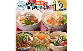 【12回定期便】訳あり土佐の海鮮漬け丼（5種×各4袋）セット 漬け丼の素 タイ 鯛 ブリ 鰤 マグロ 鮪 イカ カツオ 鰹 たたき 新鮮 魚 おかず おつまみ 惣菜 小分け 簡単 訳アリ わけあり