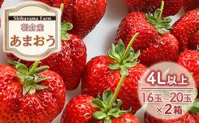 いちご 朝倉市産 あまおう 4L以上 16玉～20玉×2箱 イチゴ 苺 果物 デザート ＜Shibayama Farm＞ ※配送不可：離島