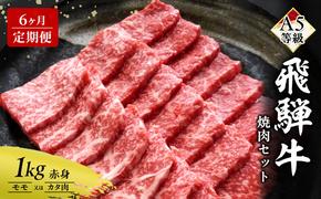 【定期便6ヶ月】牛肉 飛騨牛 焼き肉 セット 赤身 モモ 又は カタ 1kg 黒毛和牛 Ａ5 美味しい お肉 牛 肉 和牛 焼肉 BBQ バーベキュー 【岐阜県瑞穂市】