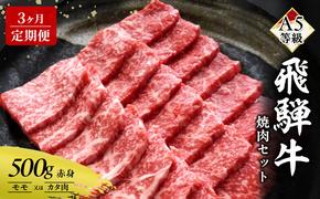 【定期便3ヶ月】牛肉 飛騨牛 焼き肉 セット 赤身 モモ 又は カタ 500g 黒毛和牛 Ａ5 美味しい お肉 牛 肉 和牛 焼肉 BBQ バーベキュー 【岐阜県瑞穂市】