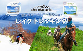 北海道 レイクトレッキング＆Winterレイクトレッキング 約40分 乗馬 体験 ホース トレッキング 絶景 自然 貴重 体験 経験 景色 ふれあい 血統馬 初心者 本格的 のんびり お子様 大人 レイクトーヤランチ 洞爺湖