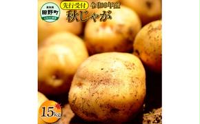 【四国一小さなまちのじゃがいも】★令和6年11月中旬発送開始★ 大野台地で採れた『 令和6年産 秋じゃが 』 15kg