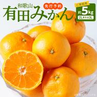 AT6300_【先行予約】【ご家庭用】和歌山有田みかん 約5kg (2L、3Lサイズいずれか)【湯浅町】