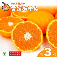 訳あり 愛媛みかん 約3kg 【発送期間：9月中旬～1月中旬】 柑橘 果物 国産 フルーツ 蜜柑 ミックス 不揃い 傷 温州 ビタミン 美味しい みかん職人武田屋 愛媛県 愛南町