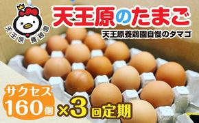 【定期便】３回定期 【天王原のたまご】 サクセス卵160個入り