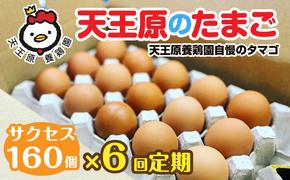 【定期便】６回定期【天王原のたまご】 サクセス卵160個入り