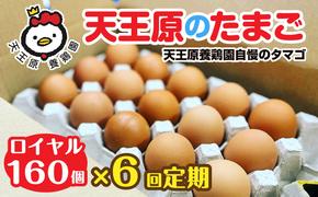 【定期便】６回定期 【天王原のたまご】 ロイヤル卵160個入り