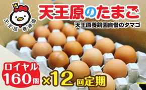 【定期便】12回定期 【天王原のたまご】 ロイヤル卵160個入り