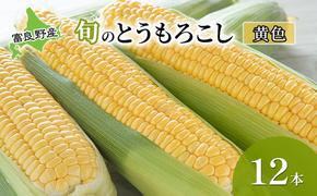 2025年先行受付 とうもろこし 富良野産 旬のとうもろこし(黄色) 12本入 北海道 富良野 ふらの コーン とうきび トウモロコシ 野菜 甘い