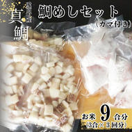 鯛めしセット （180ｇ×３パック） カマ付き まだい 鯛 冷凍 ダイスカット サイコロ コロコロ 角切り 鯛めし 釜めし 炊き込みご飯 10000円  おかず 惣菜 つまみ 入れるだけ 国産 魚介 特産品 魚介類 海産物 鮮魚 養殖 産地直送 海鮮 ブランド 簡単 お正月 お祝い 年末 年始 クリスマス パーティ お食い初め パック 愛南町 愛媛県 愛南サン・フィッシュ