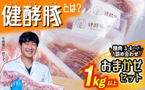 北海道産 健酵豚 精肉 おまかせ セット 1kg 以上( 3～4パック ) 豚肉 おためし 詰め合わせ ブランドポーク