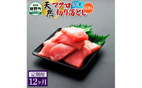 ～四国一小さなまち～ 天然マグロ切り落とし 600g 12ヶ月定期便 まぐろ 鮪 スライス 刺身 刺し身 さしみ 魚 魚介 海鮮 海鮮丼 寿司 海の幸 おかず おつまみ 惣菜 簡単 時短 おいしい