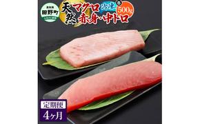 ～四国一小さなまち～ 天然マグロ（赤身・中トロ 各500g）4ヶ月定期便 まぐろ 鮪 中とろ 刺身 刺し身 さしみ 魚 魚介 海鮮 海鮮丼 寿司 海の幸 おかず おつまみ 惣菜 おいしい