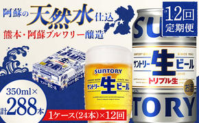 FKK19-904_ 【12回定期便】 サントリー 生ビール トリプル生 350ml ×1ケース (24缶)  熊本県 嘉島町 ビール サン生