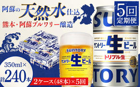 FKK19-911_ 【5回定期便】サントリー 生ビール トリプル生  350ml×2ケース(48缶) 熊本県 嘉島町 ビール サン生