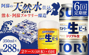 FKK19-912_ 【6回定期便】サントリー 生ビール トリプル生  350ml×2ケース(48缶) 熊本県 嘉島町 ビール サン生