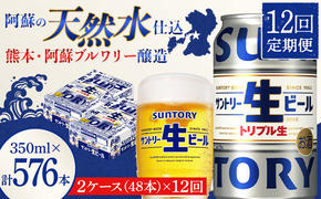 FKK19-913_ 【12回定期便】サントリー 生ビール トリプル生  350ml×2ケース(48缶) 熊本県 嘉島町 ビール サン生