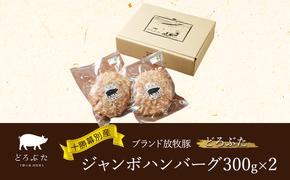 十勝幕別産ブランド放牧豚［どろぶた］ジャンボハンバーグ300g×2　北海道 エルパソ 放牧豚