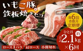 【年6回定期便/奇数月】いもこ豚（彩） 鉄板焼きセット 2.1kg×6回 総合計12.6kg 切り落とし ロース バラ 肩ロース 小間切れ 焼肉 豚肉 いもこ豚 セット 詰合せ 冷凍 宮崎県産 九州産 送料無料