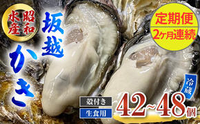 定期便 牡蠣 生食用 坂越かき 殻付き 42～48個《2ヶ月連続お届け》 昭和水産 [ 生牡蠣 真牡蠣 かき カキ 冬牡蠣 ]