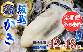 定期便 牡蠣 生食用 坂越かき 殻付き 42～48個《3ヶ月連続お届け》 成林水産 [ 生牡蠣 真牡蠣 かき カキ 冬牡蠣 ]