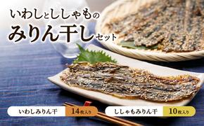 みりん干セット（いわし・ししゃも） みりん干し カタクチイワシ イワシ シシャモ 詰合せ 干物 ひもの 開き おかず おつまみ 魚 海鮮 お土産 手土産 九十九里沖 千葉県  within2024