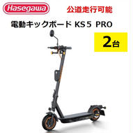 【訳あり/モデルチェンジ】【長谷川工業（Hasegawa)】公道走行が可能な電動キックボード KS5 PRO ２台　電動モビリティ 折り畳み 700-1