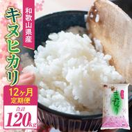 BB6211_【定期便】和歌山県産 キヌヒカリ 10kg 毎月1回、12ヶ月間お届け