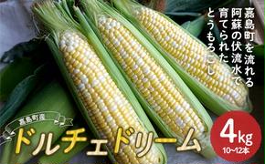 FKK19-939_【先行予約】嘉島町産ドルチェドリーム4kg ※令和7年4月中旬より発送開始 野菜 とうもろこし トウモロコシ 甘い ジューシー ドルチェドリーム 嘉島町