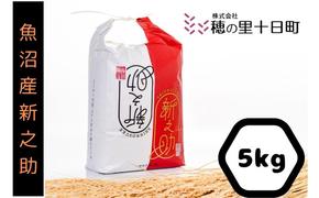 令和6年産◎魚沼産【新之助】精米5kg 十日町市 十日町 米