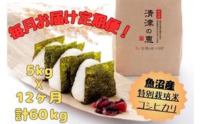 【通年受付】魚沼産特別栽培米コシヒカリ［清津の恵］精米5kg　全12回 十日町市 十日町 米