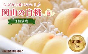 【 2025年 先行予約 】桃 岡山県産 どれも食べたい！岡山 白桃 3種 満喫 プラン 3回 コースB ( 白鳳 ・ 清水白桃 ・ 瀬戸内白桃 各1.2kg)《2025年7月上旬-8月下旬頃出荷》フルーツ 果物 里庄町