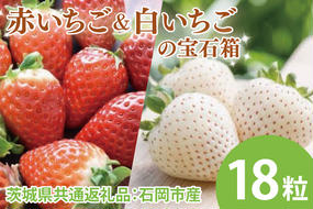 【先行予約】赤いちごと白いちごの宝石箱 18粒（茨城県共通返礼品：石岡市産）　※2024年12月初旬～2025年3月下旬頃に順次発送予定(CD005)