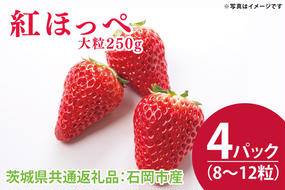 【先行予約】紅ほっぺ 大粒250g（8〜12粒）×4パック（茨城県共通返礼品：石岡市産）合計約1kg　※2024年12月初旬～2025年3月下旬頃に順次発送予定(CD002）