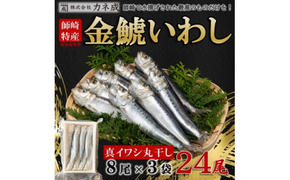 いわし 丸干し 24尾 ( 8尾 × 3 パック ) 干物 冷凍 小分け 愛知県 南知多町 ご飯 ごはん おかず おつまみ 魚 さかな 鰯 金鯱 イワシ 栄養 料理 国産 カネ成 人気 おすすめ