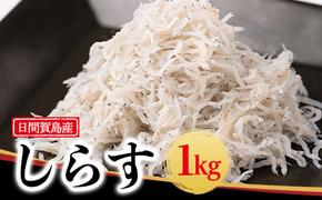 日間賀島 しらす 1kg 冷凍 愛知県 南知多町 天然 塩 ご飯 ごはん パスタ サラダ ピザ 丼 料理 国産 シラス 魚 さかな ミネラル パーティー 人気 おすすめ