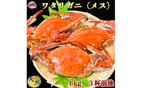 カニ 1kg (約3杯前後) 冷凍 ボイル済み 調理済み 国産 愛知県 南知多町 ワタリガニ カニ 蟹 カニ爪 蟹爪メス 贈答 プレゼント