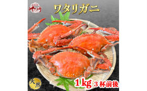 ＜大好評＞天然 ボイル ワタリガニ (オス)1kg [3杯前後]