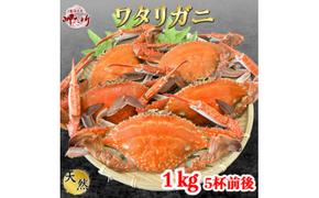 ＜大好評＞天然 ボイル ワタリガニ (オス)1kg [5杯前後]