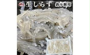 岬だよりの 生しらす釣り餌用 250g×1袋