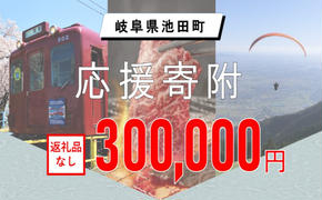 【岐阜県池田町】寄附のみの応援受付 (返礼品はございません)300,000円